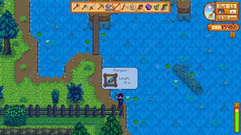 sturgeon stardew valley